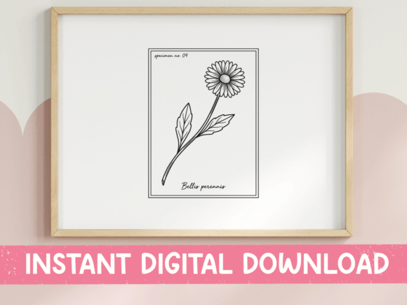Daisy Botanical Graphics for T-Shirt Designs